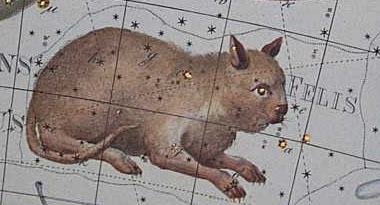 Felis (constelação), Johann Bode, Domínio Público, via Wikimedia Commons. Fleet Robinson.